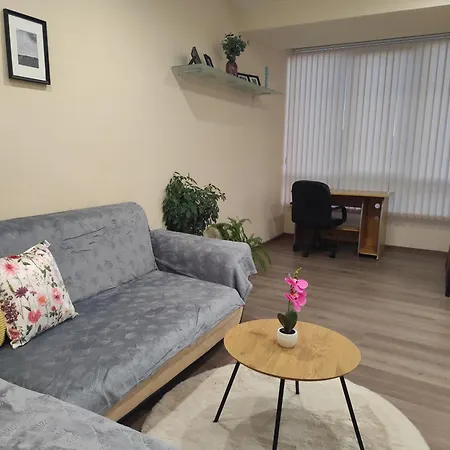 Grand Apartment *